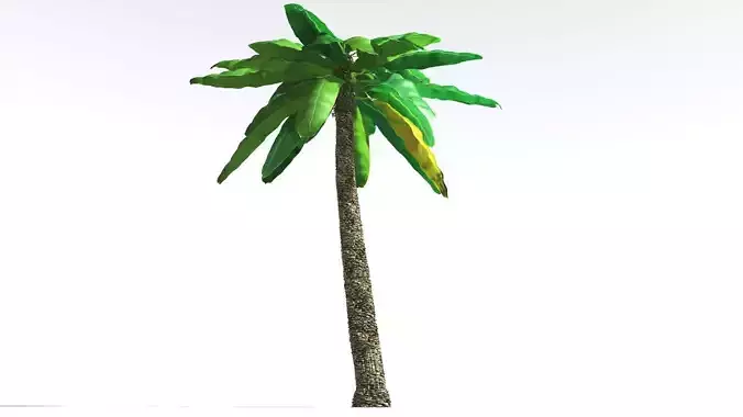 EVERYPlant Bjuvia Cycad 4 --12 Models-- 3D model