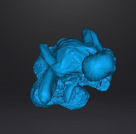 GOLLUM SMEAGOL RESIN STATUE INSPIRED FIGURE MODEL 3D print model_7