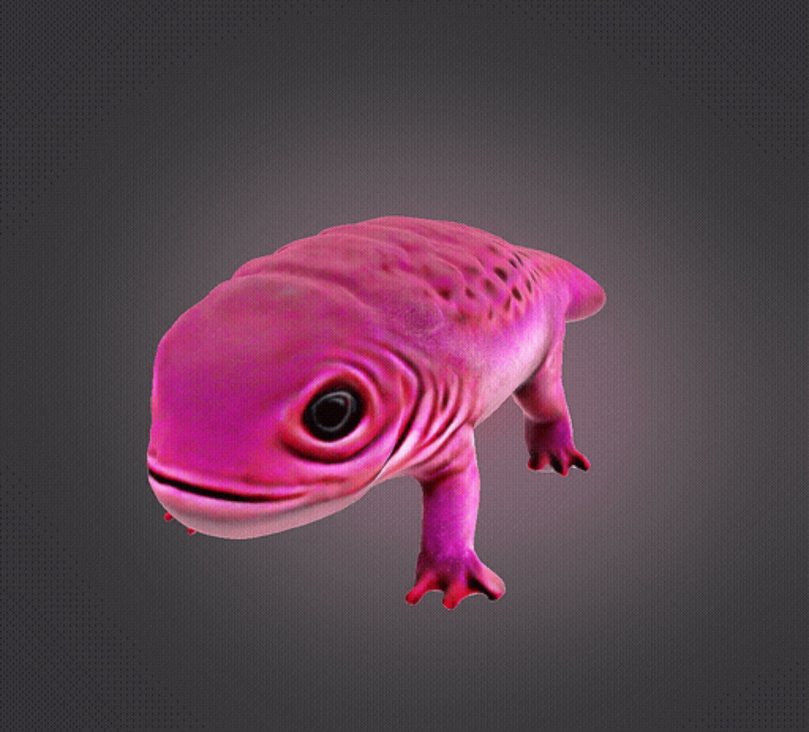 Axolotl 3D print model_1