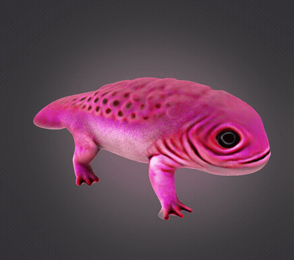 Axolotl 3D print model_3