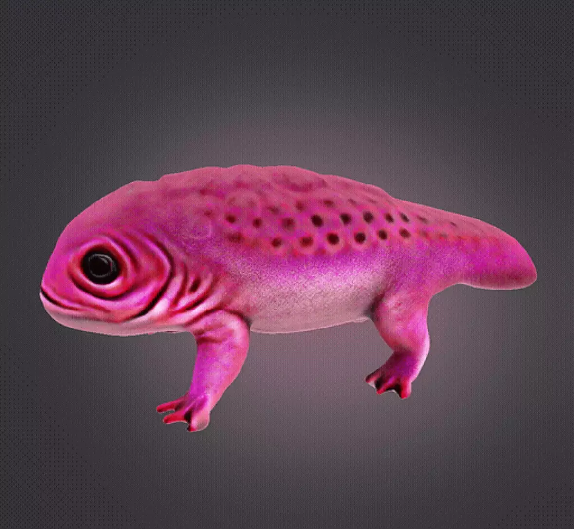 Axolotl 3D print model_0