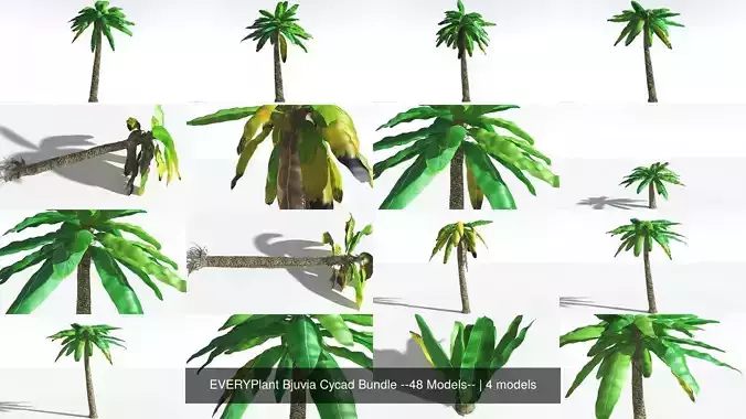 EVERYPlant Bjuvia Cycad Bundle --48 Models-- 3D Model Collection