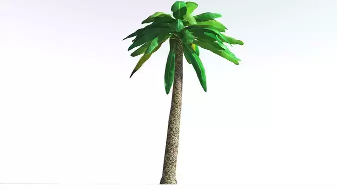 EVERYPlant Bjuvia Cycad LowPoly 1 --12 Models-- Low-poly 3D model