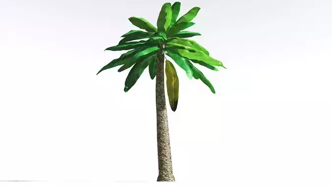 EVERYPlant Bjuvia Cycad LowPoly 2 --12 Models-- Low-poly 3D model