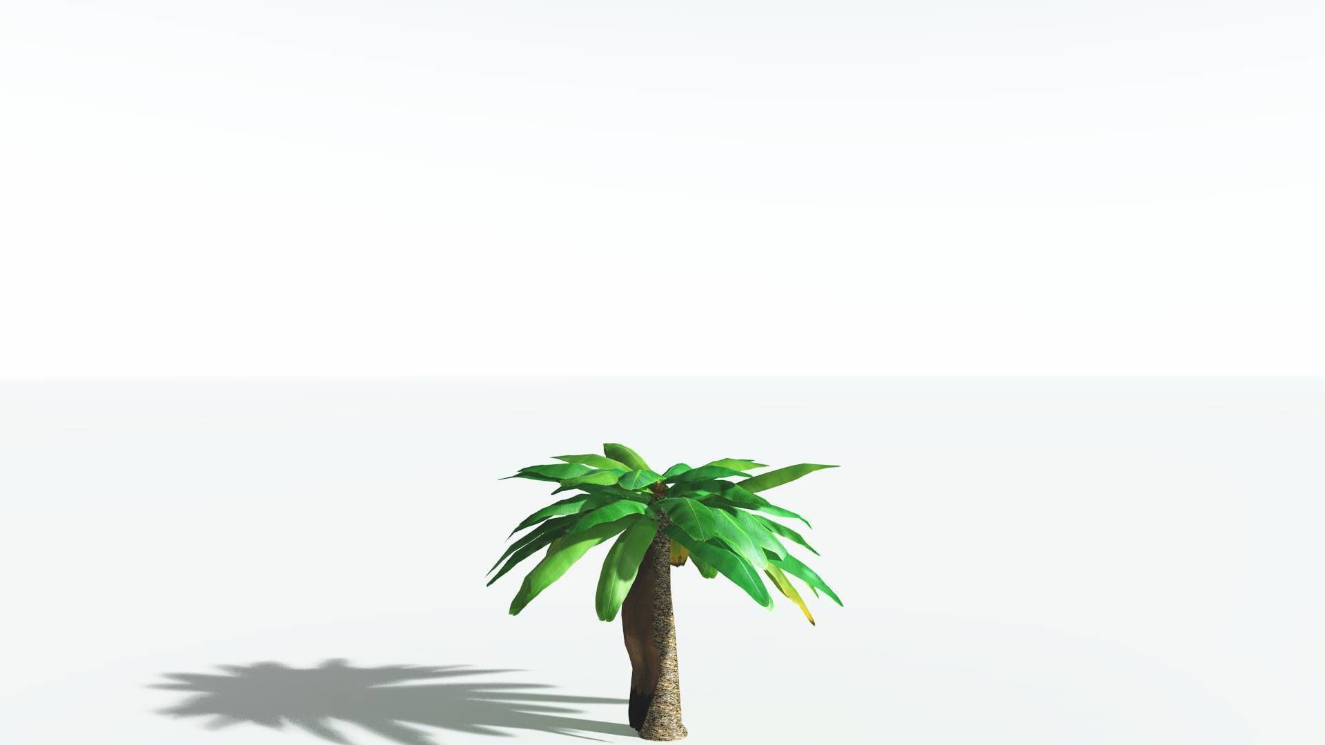 EVERYPlant Bjuvia Cycad LowPoly 3 --12 Models-- Low-poly 3D model_16