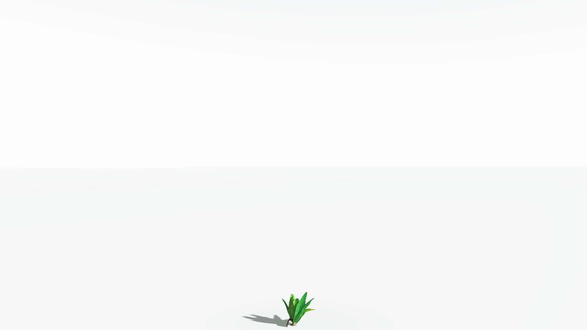 EVERYPlant Bjuvia Cycad LowPoly 3 --12 Models-- Low-poly 3D model_20