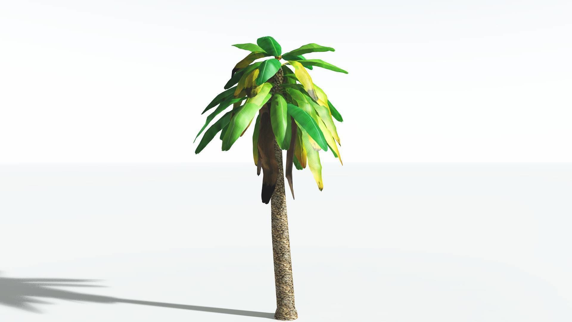 EVERYPlant Bjuvia Cycad LowPoly 3 --12 Models-- Low-poly 3D model_6