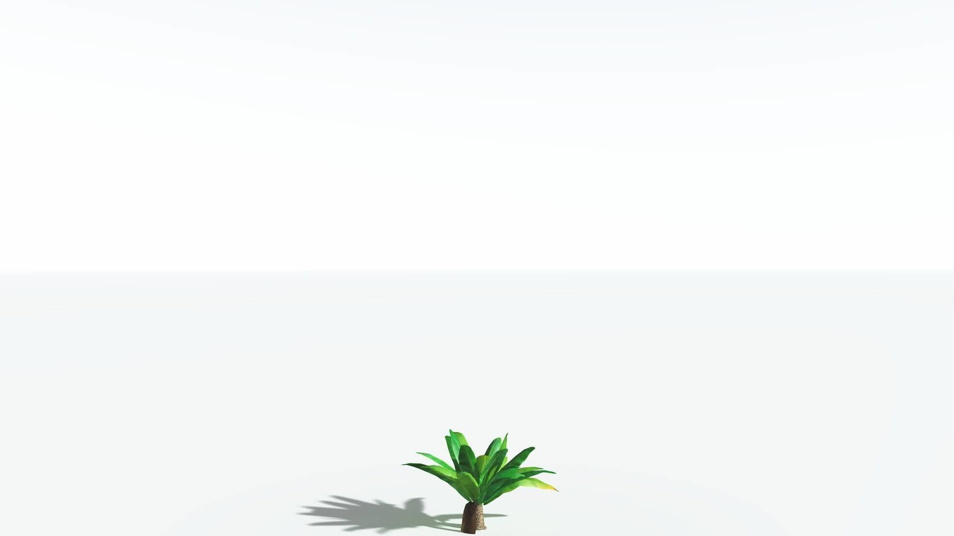 EVERYPlant Bjuvia Cycad LowPoly 3 --12 Models-- Low-poly 3D model_18
