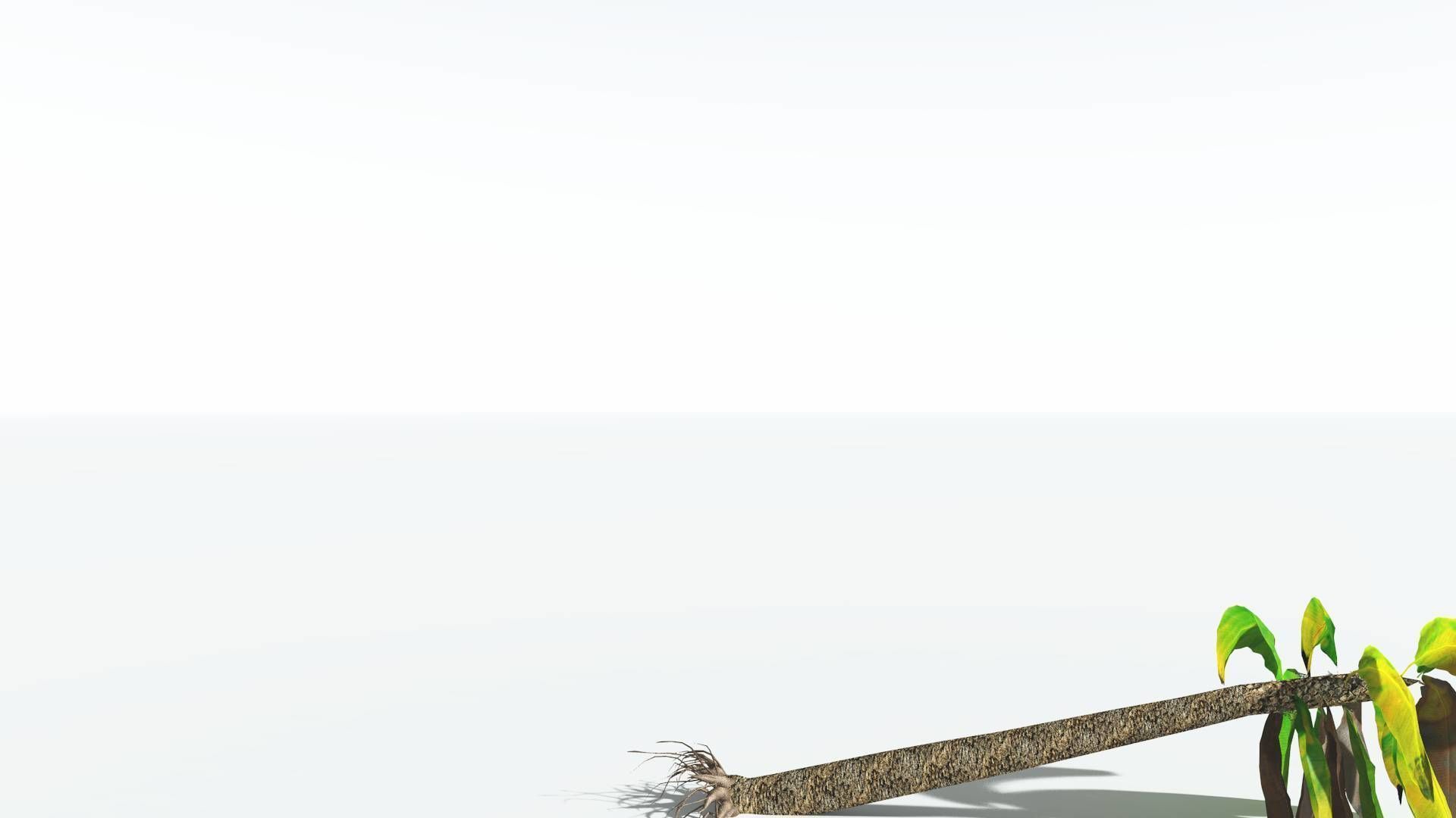 EVERYPlant Bjuvia Cycad LowPoly 3 --12 Models-- Low-poly 3D model_12