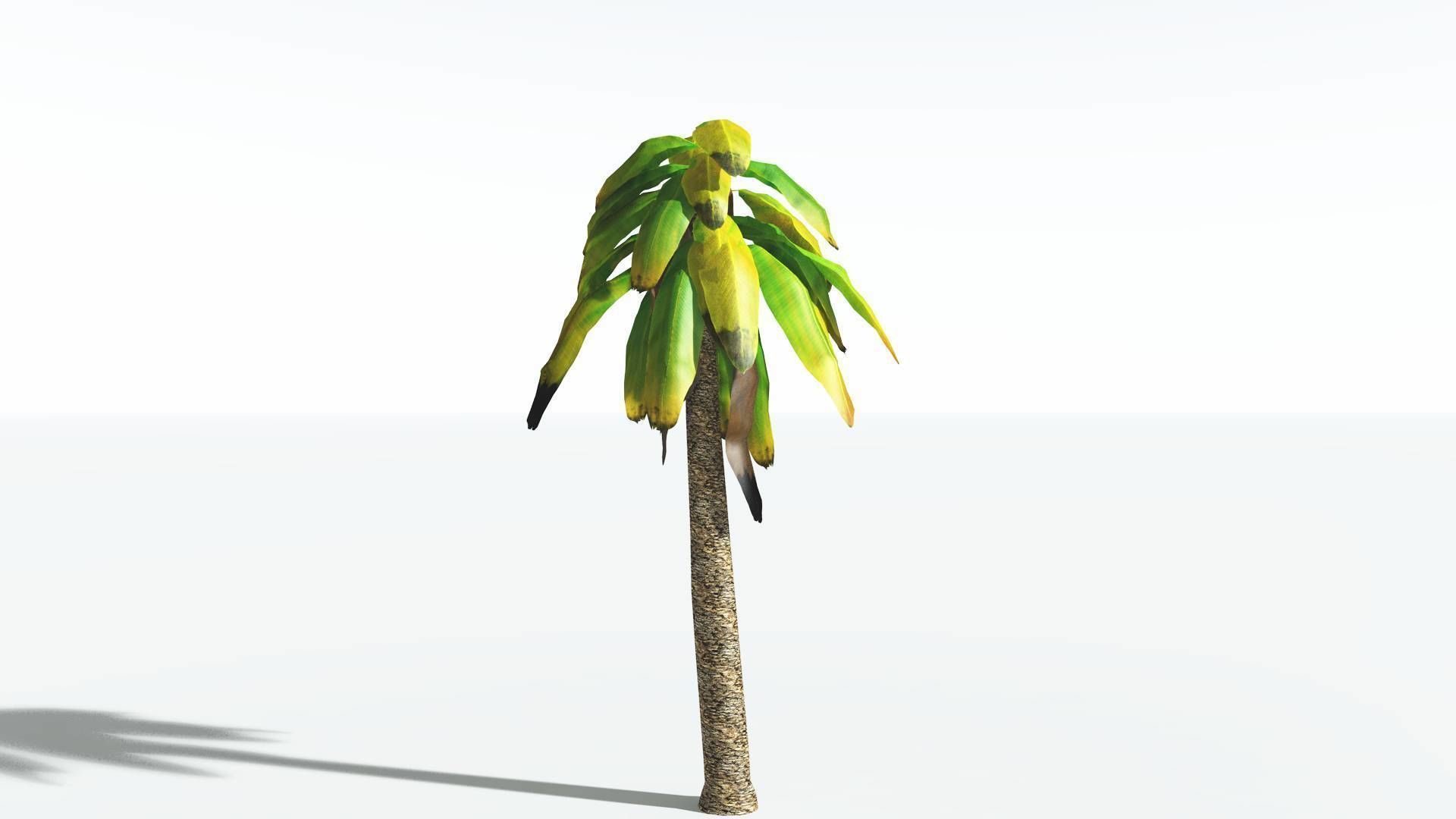 EVERYPlant Bjuvia Cycad LowPoly 3 --12 Models-- Low-poly 3D model_8
