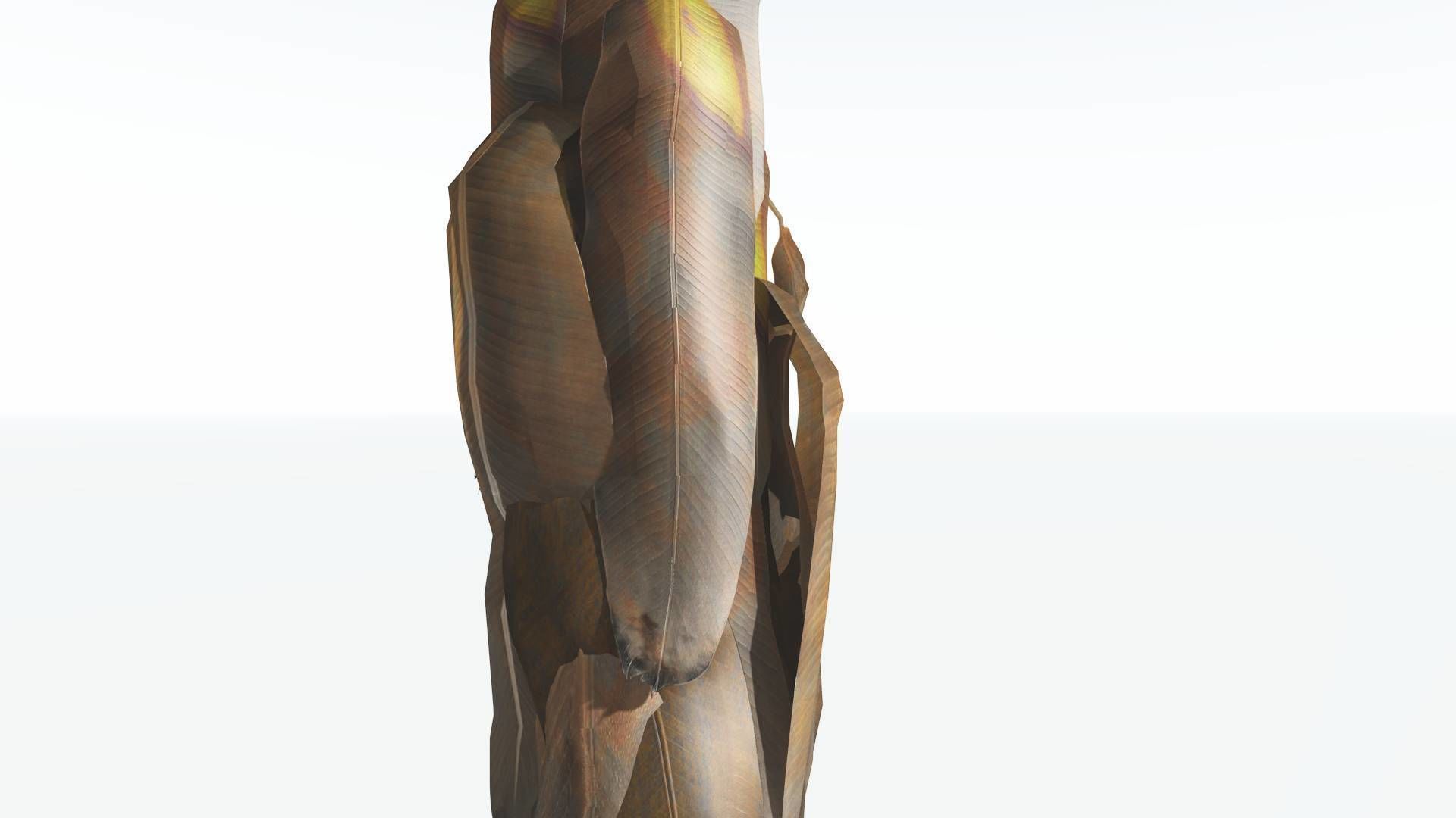 EVERYPlant Bjuvia Cycad LowPoly 3 --12 Models-- Low-poly 3D model_11