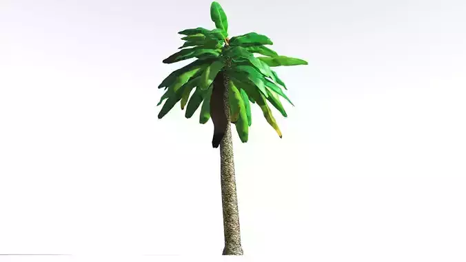 EVERYPlant Bjuvia Cycad LowPoly 3 --12 Models-- Low-poly 3D model