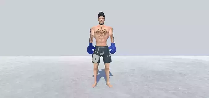 MMA Fighter Rigged Low-poly 3D model
