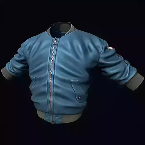 Blue Bomber Jacket
