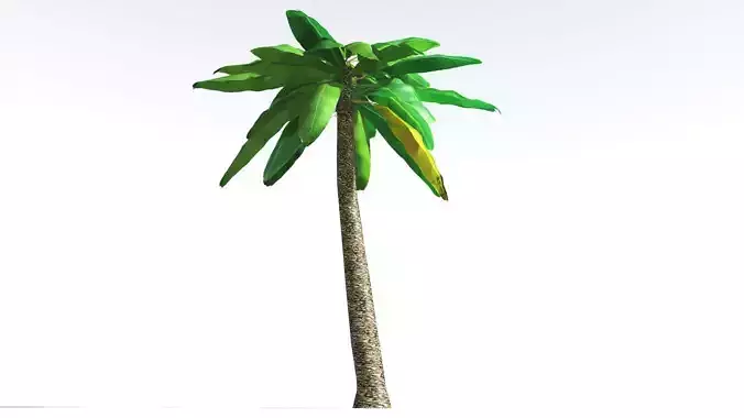EVERYPlant Bjuvia Cycad LowPoly 4 --12 Models-- Low-poly 3D model
