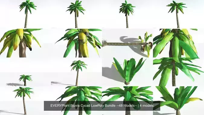 EVERYPlant Bjuvia Cycad LowPoly Bundle --48 Models-- 3D Model Collection