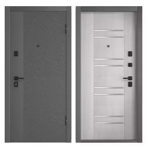 Delta Pro PP entrance door