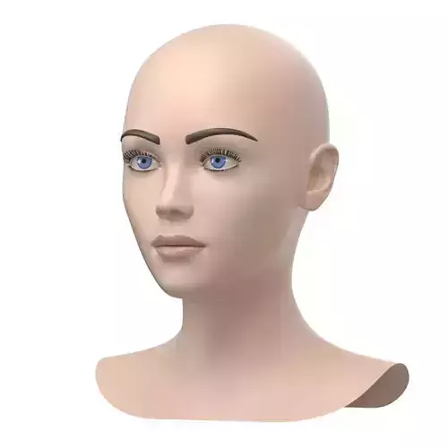 Stylized Female 01 Head Base Mesh