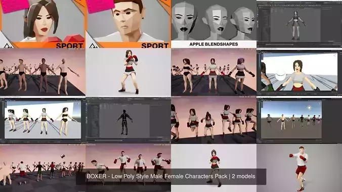 BOXER - Low Poly Style Male Female Characters Pack