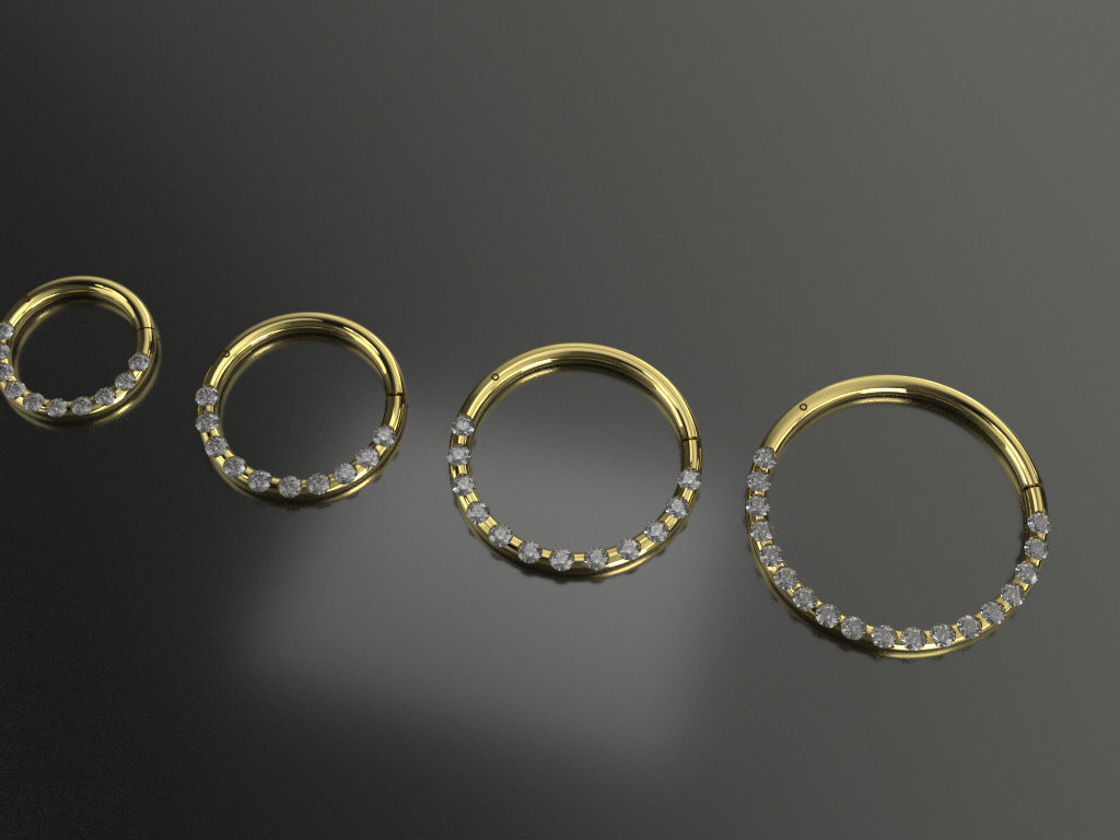 Pac 4 sizes Segment ear and nose ring Piercing Helix Tragus 3D print model_1