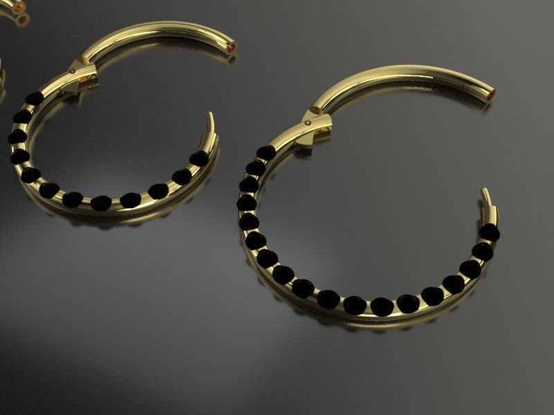 Pac 4 sizes Segment ear and nose ring Piercing Helix Tragus 3D print model_2