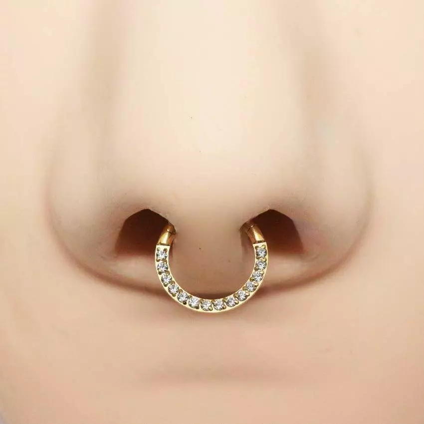 Pac 4 sizes Segment ear and nose ring Piercing Helix Tragus 3D print model_0