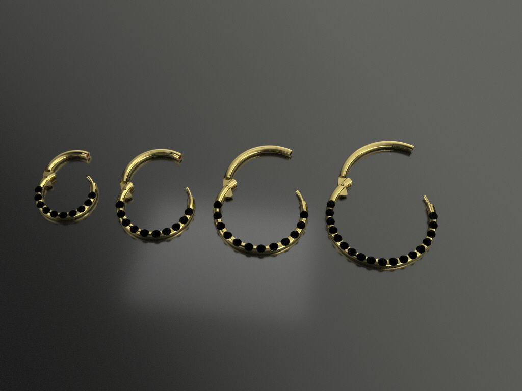 Pac 4 sizes Segment ear and nose ring Piercing Helix Tragus 3D print model_3