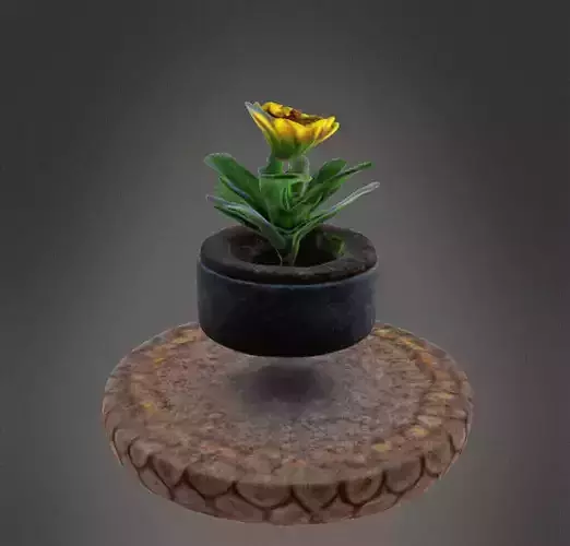 Levitating Flower Pot 3d Model