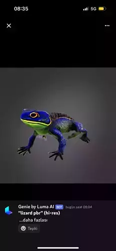 Lizard 3d Model