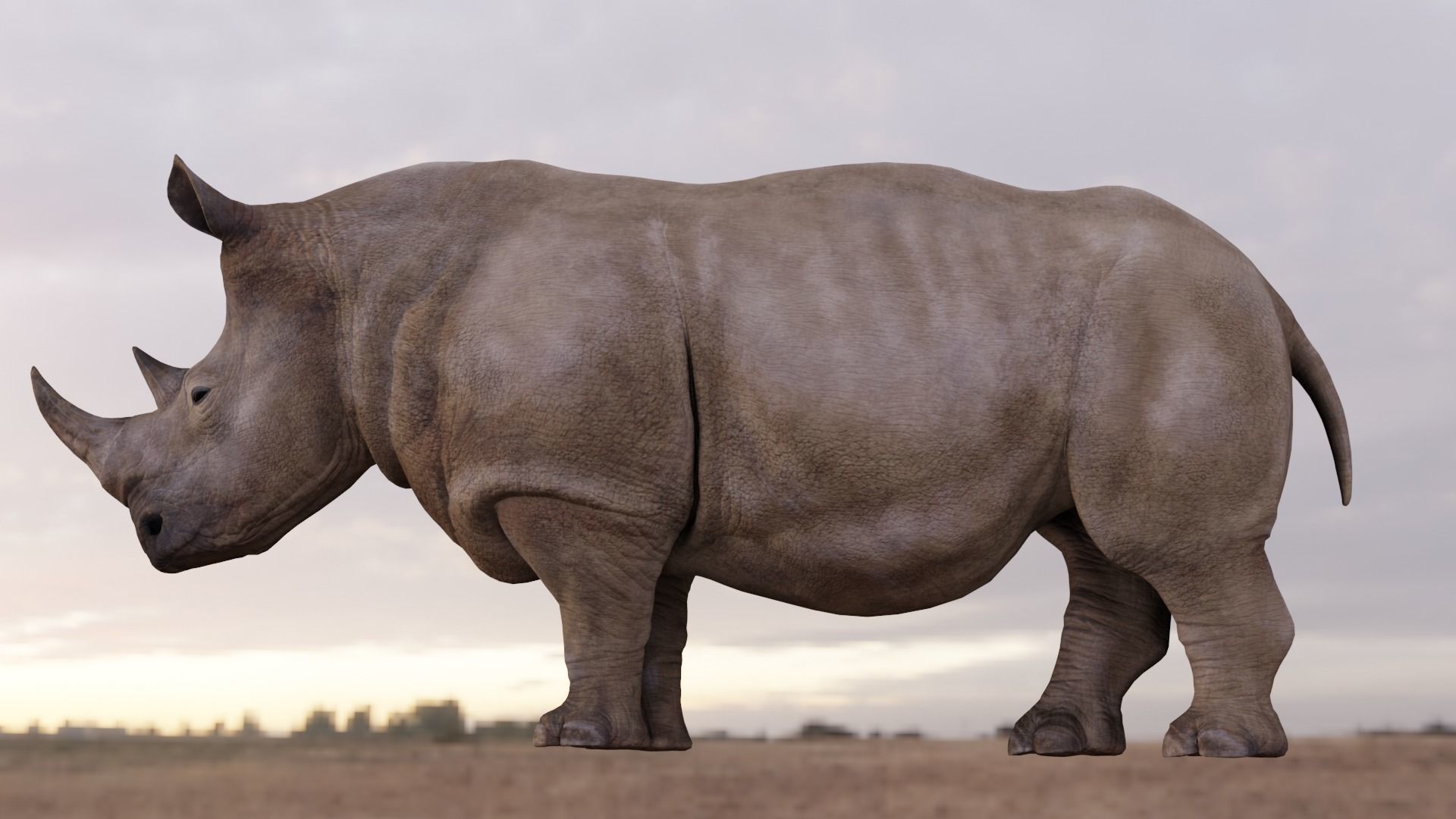 Rhino Animated and Rigged  Low-poly 3D model_15
