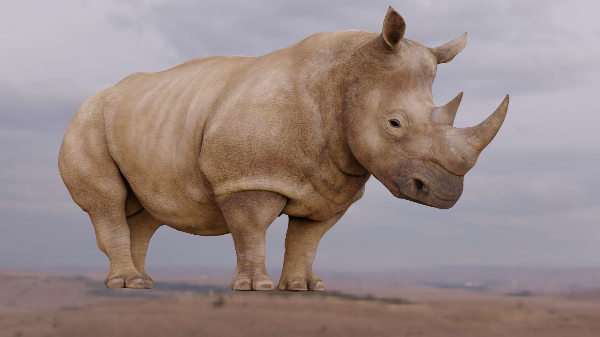 Rhino Animated and Rigged  Low-poly 3D model_11