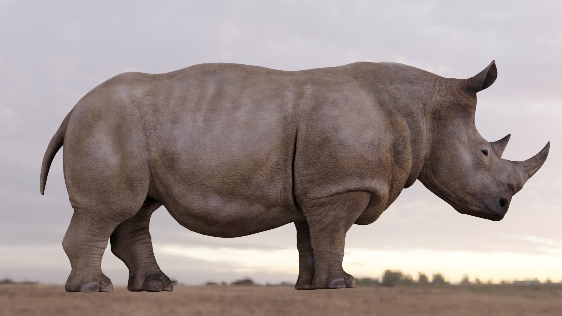 Rhino Animated and Rigged  Low-poly 3D model_4