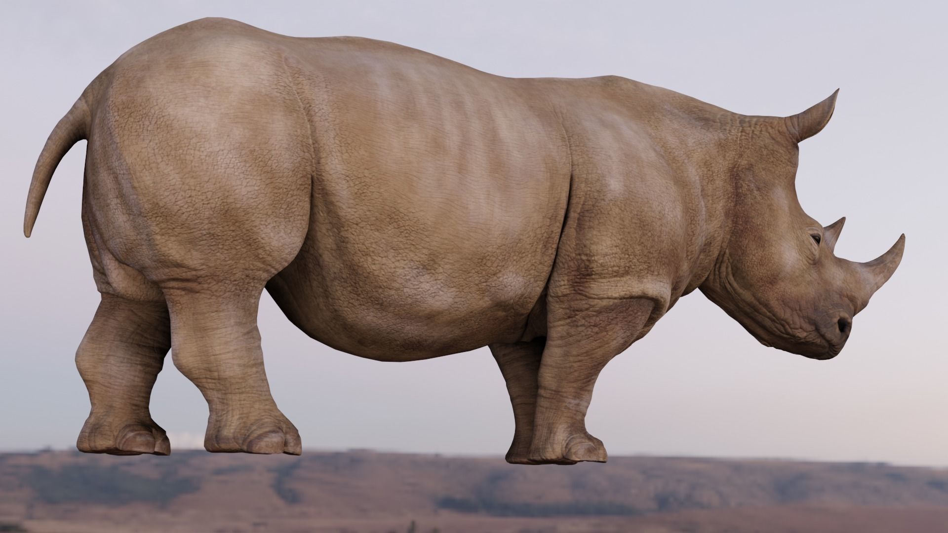 Rhino Animated and Rigged  Low-poly 3D model_13