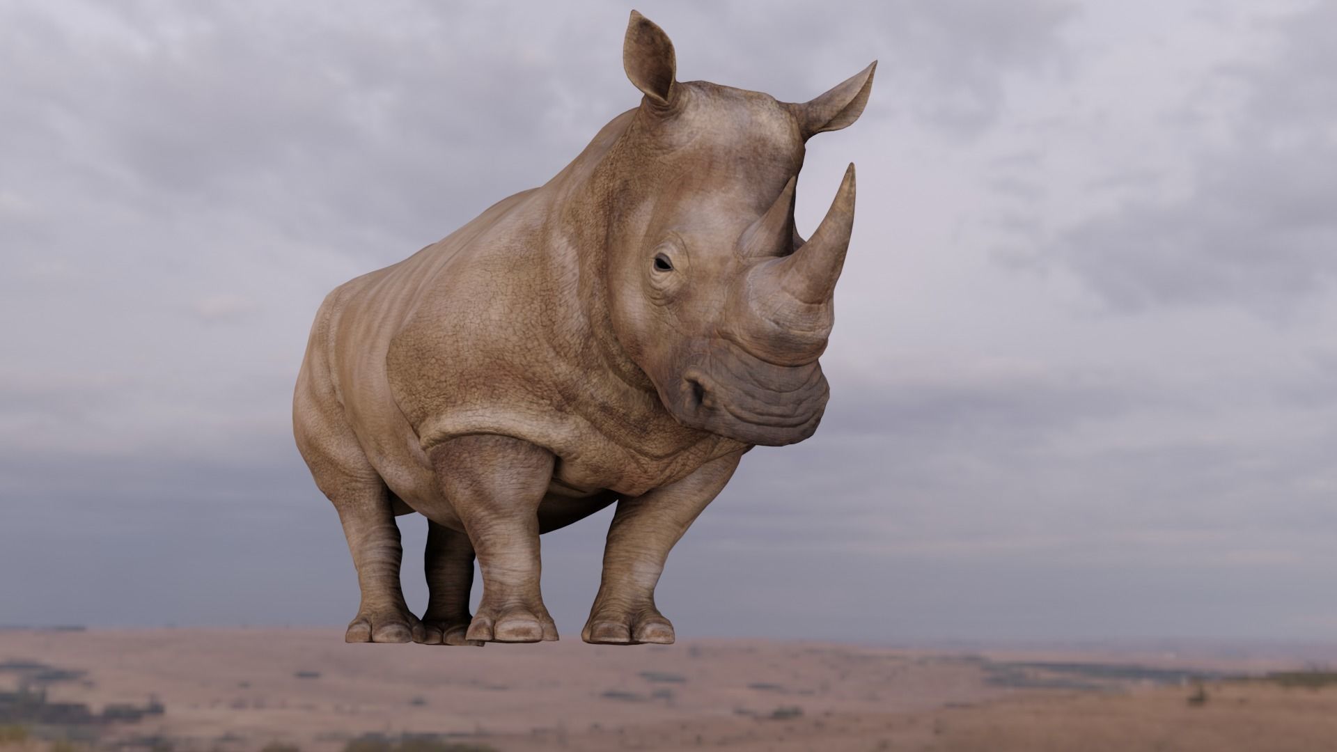 Rhino Animated and Rigged  Low-poly 3D model_14