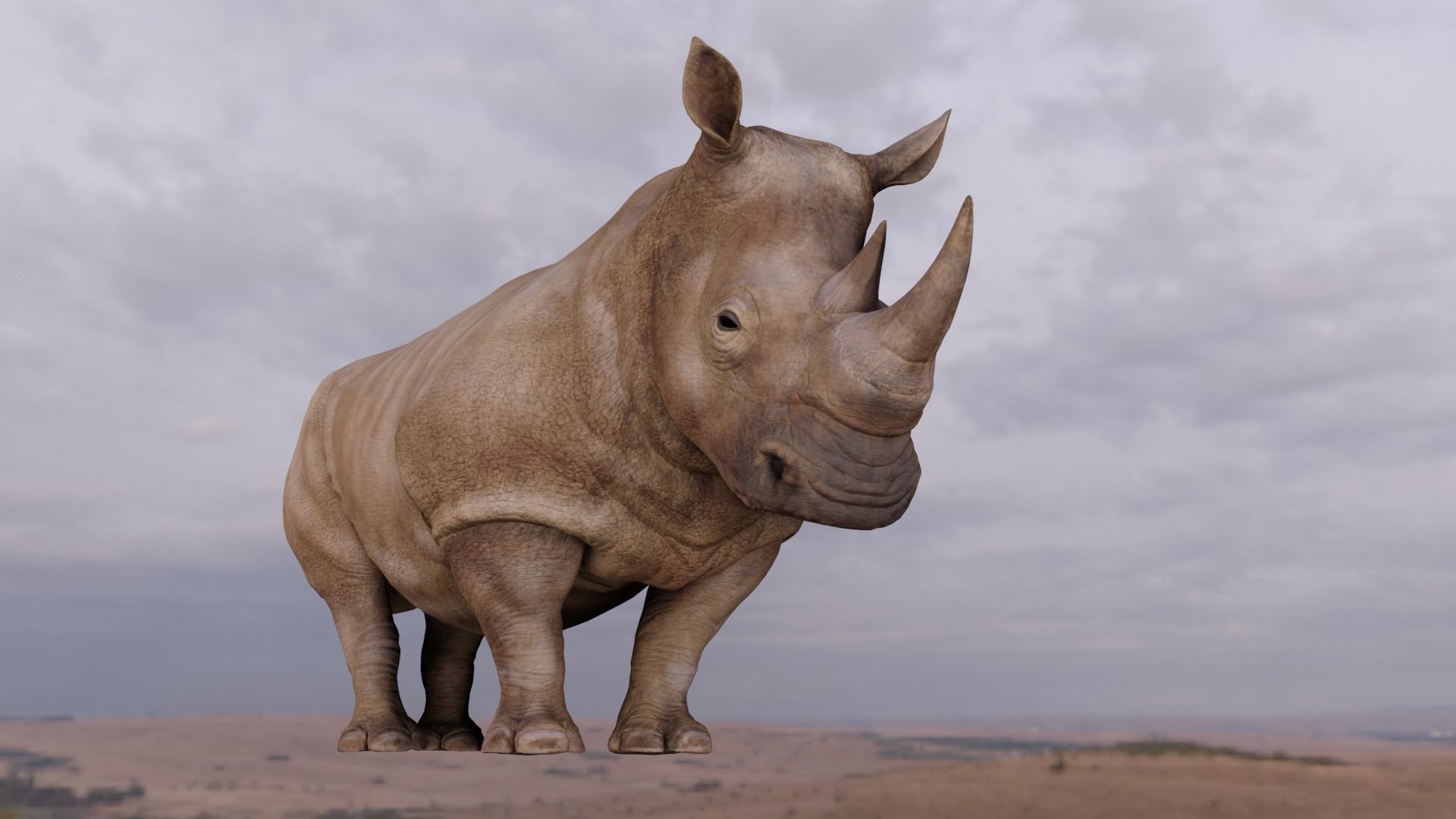 Rhino Animated and Rigged  Low-poly 3D model_21