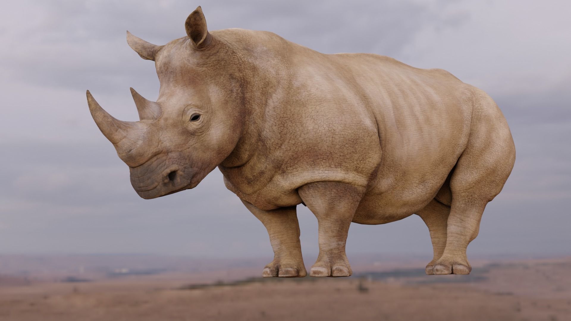 Rhino Animated and Rigged  Low-poly 3D model_1