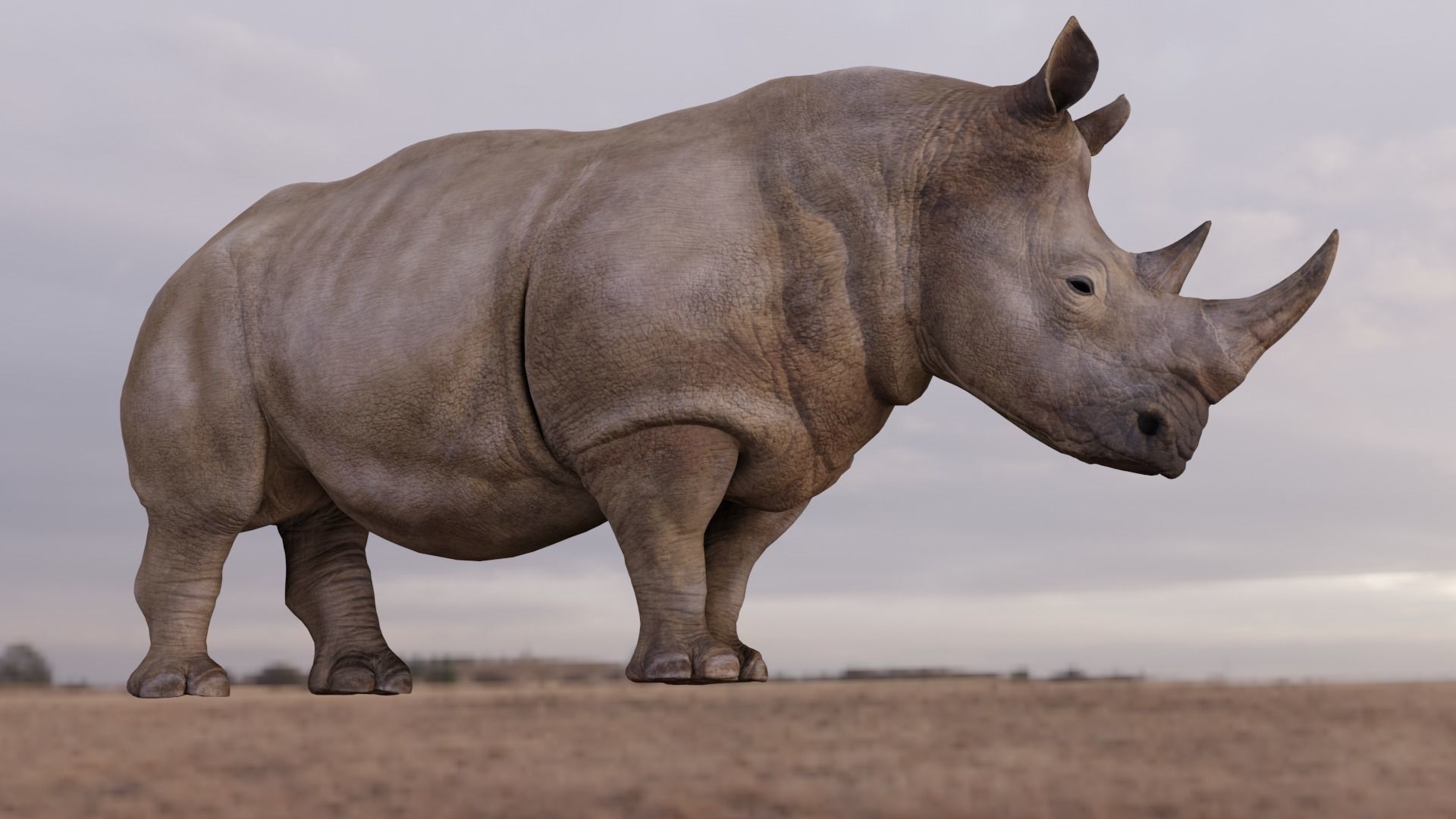 Rhino Animated and Rigged  Low-poly 3D model_8