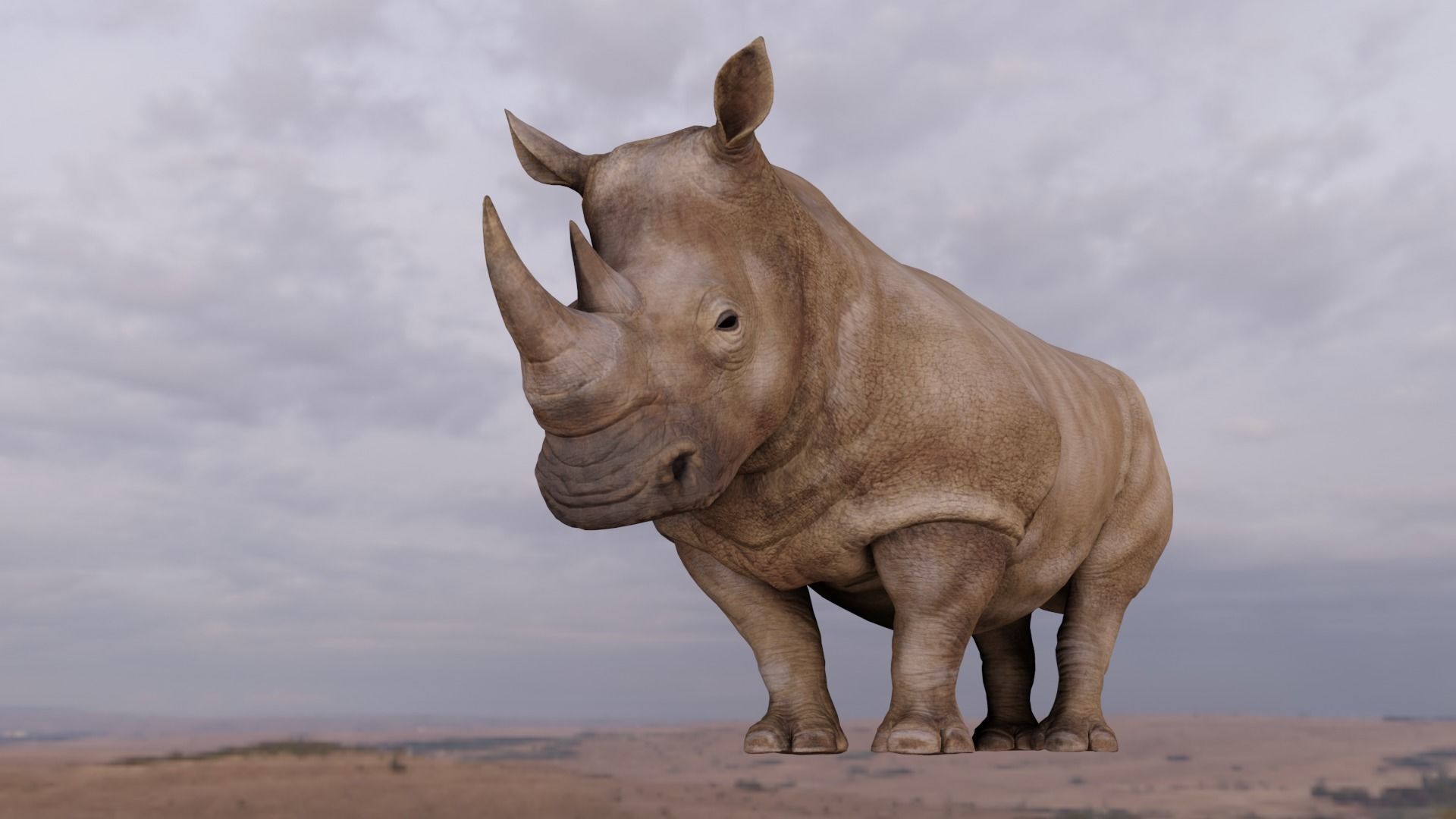 Rhino Animated and Rigged  Low-poly 3D model_10
