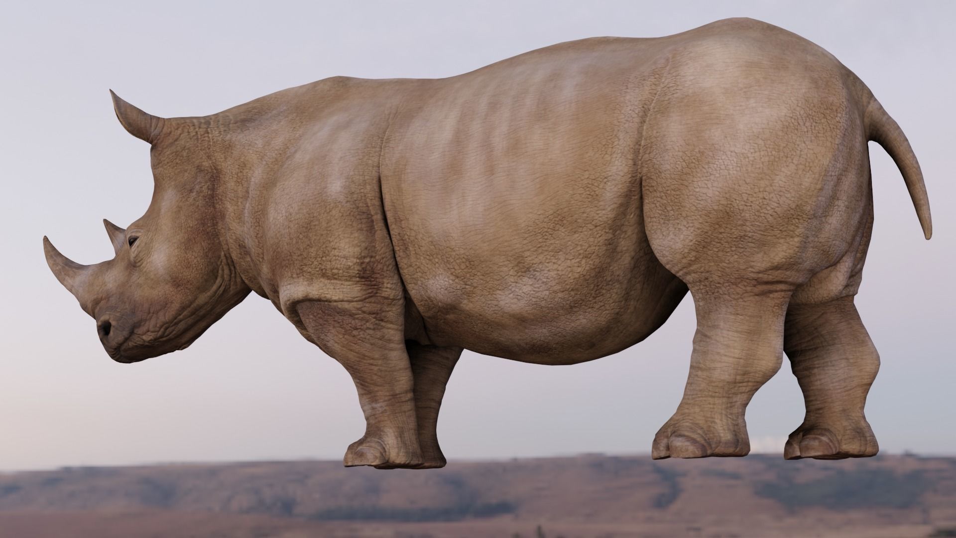 Rhino Animated and Rigged  Low-poly 3D model_2