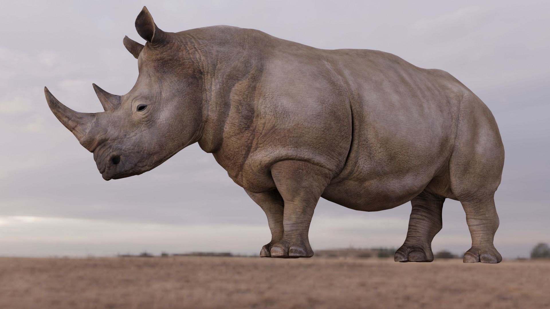 Rhino Animated and Rigged  Low-poly 3D model_19