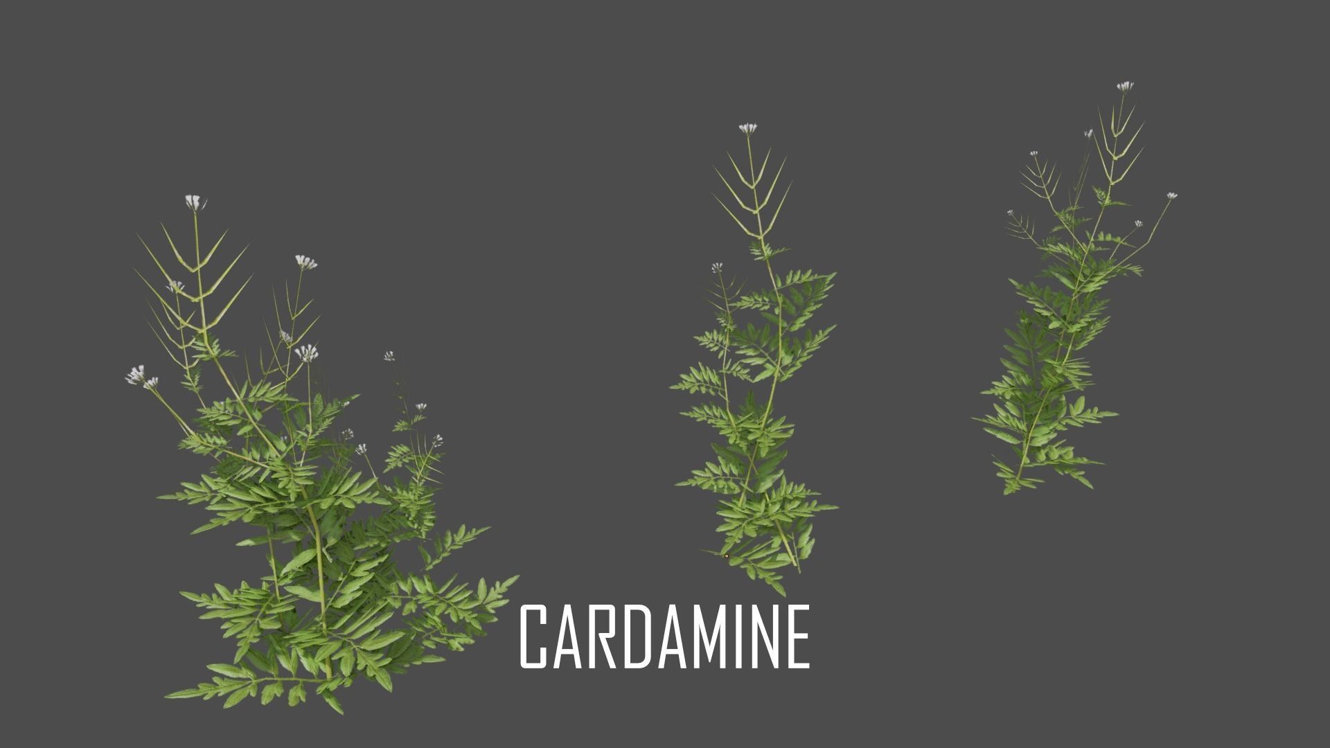 The Cemetery Pack Low-poly 3D model_127