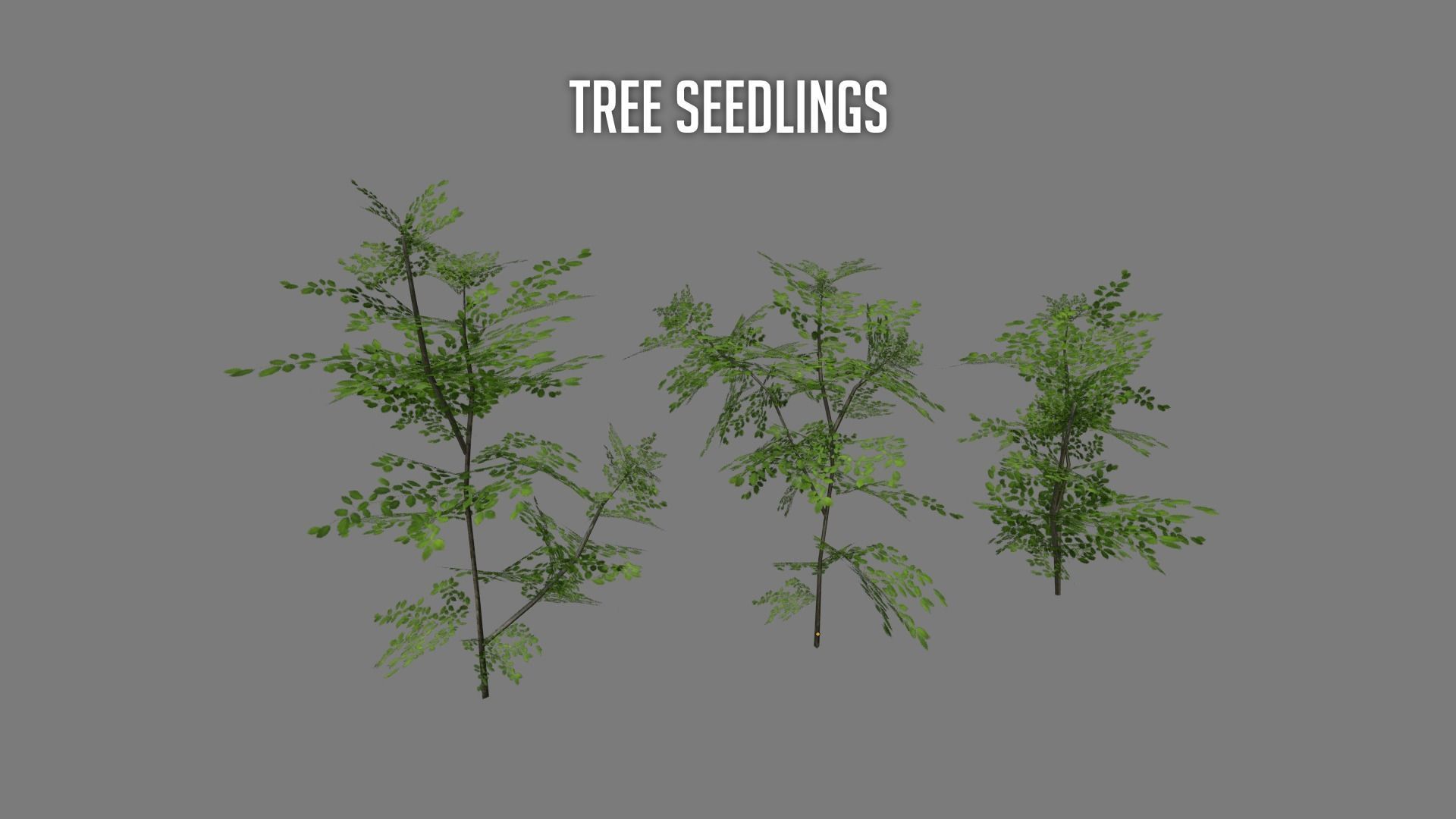 The Cemetery Pack Low-poly 3D model_148