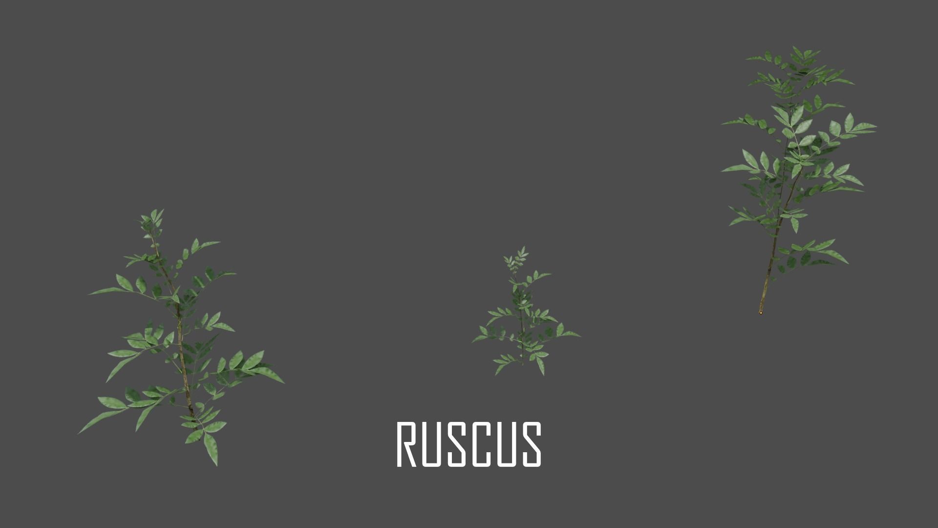 The Cemetery Pack Low-poly 3D model_132