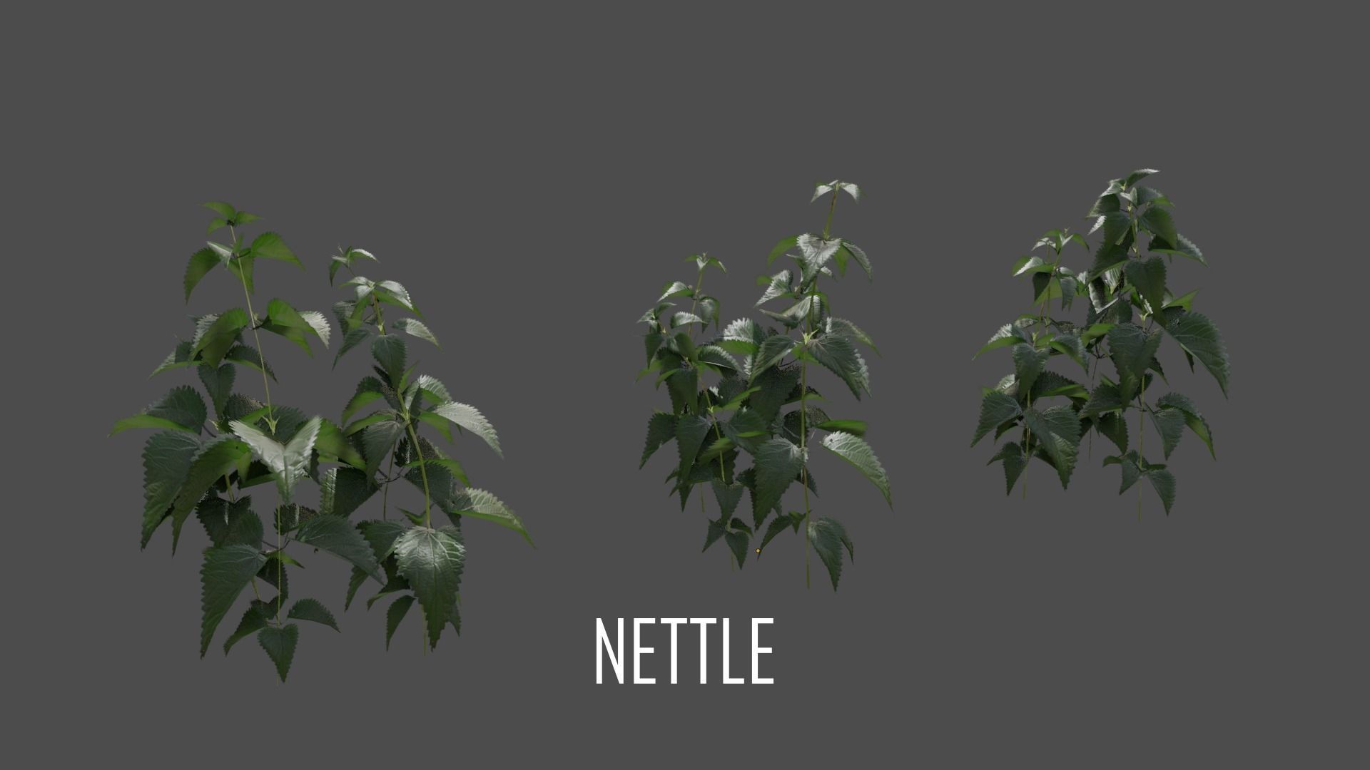 The Cemetery Pack Low-poly 3D model_130