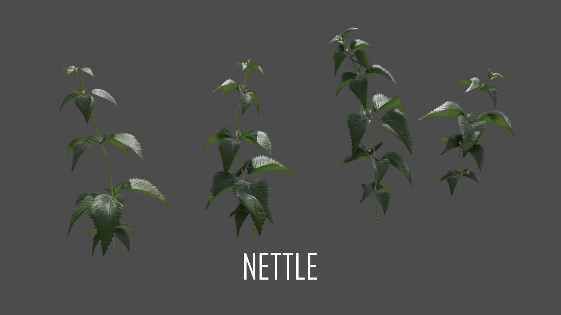 The Cemetery Pack Low-poly 3D model_129