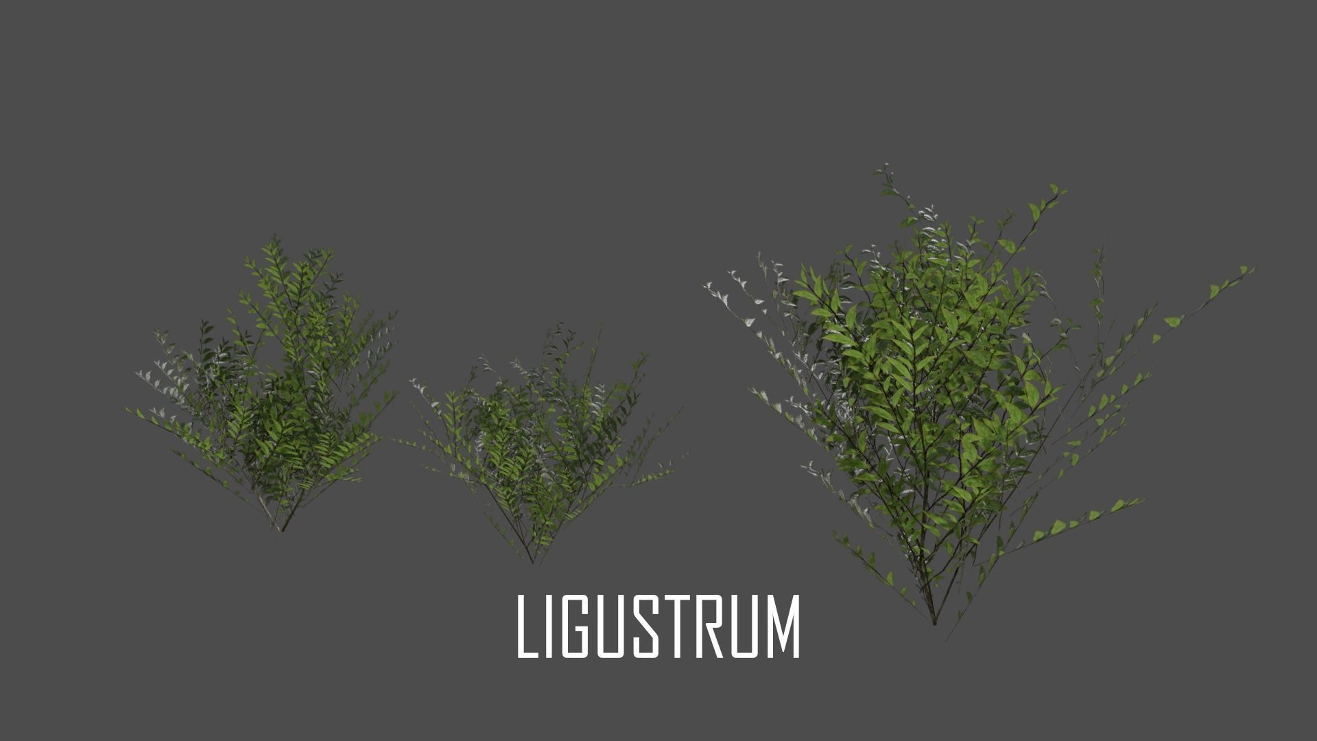 The Cemetery Pack Low-poly 3D model_125