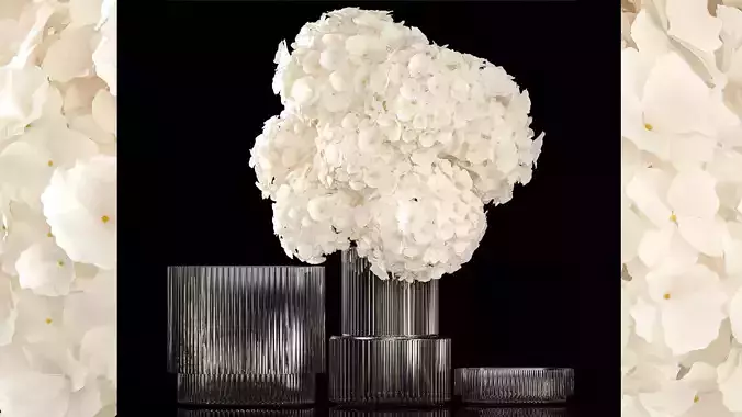 Solemn bouquet of white hydrangea flowers in a vase 367