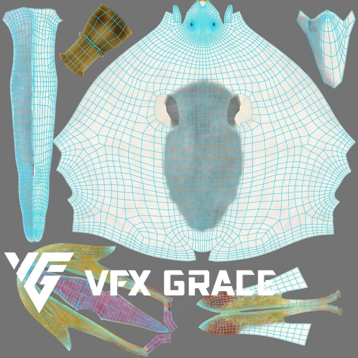 Seagull Animation - VFX Grace 3D model_23