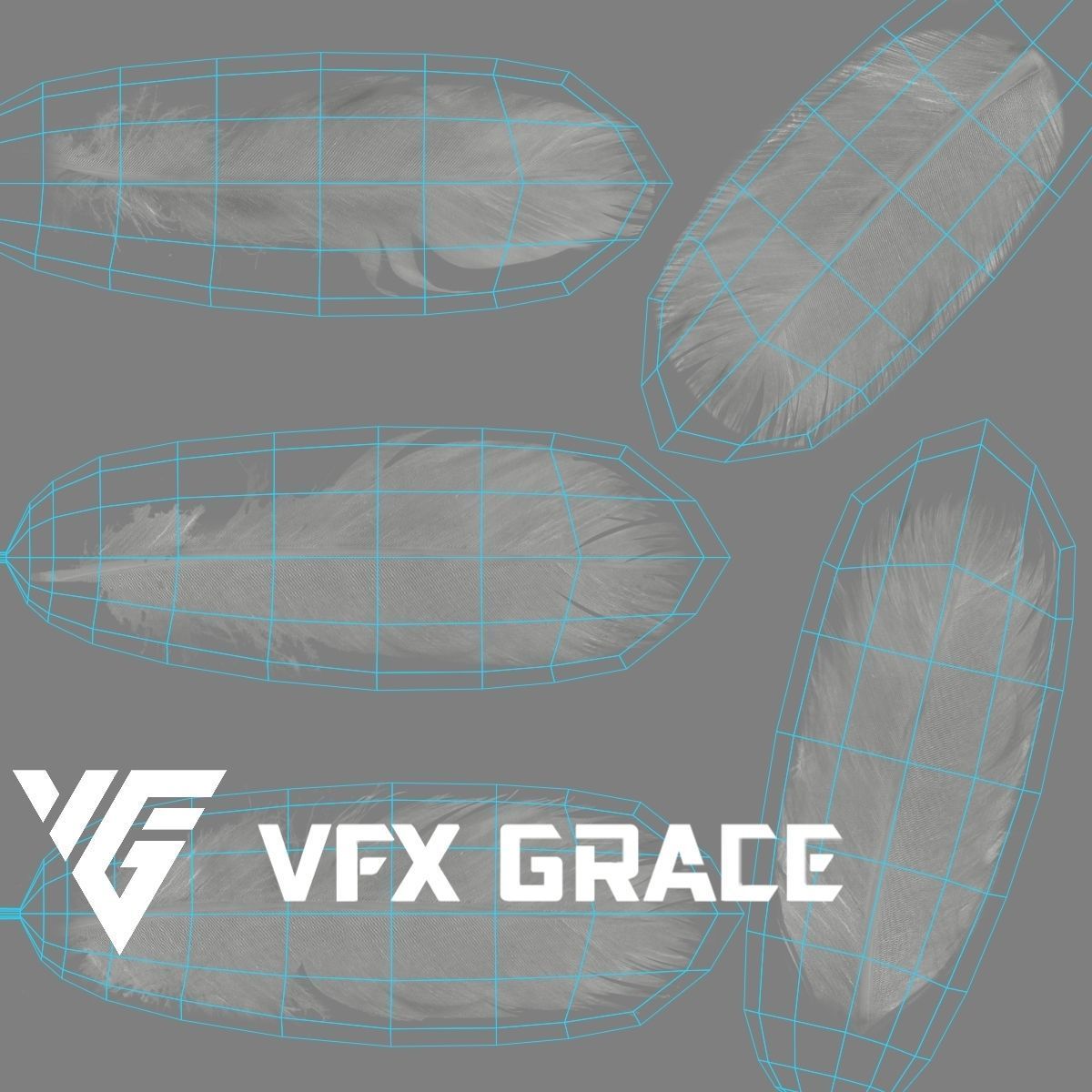 Seagull Animation - VFX Grace 3D model_26