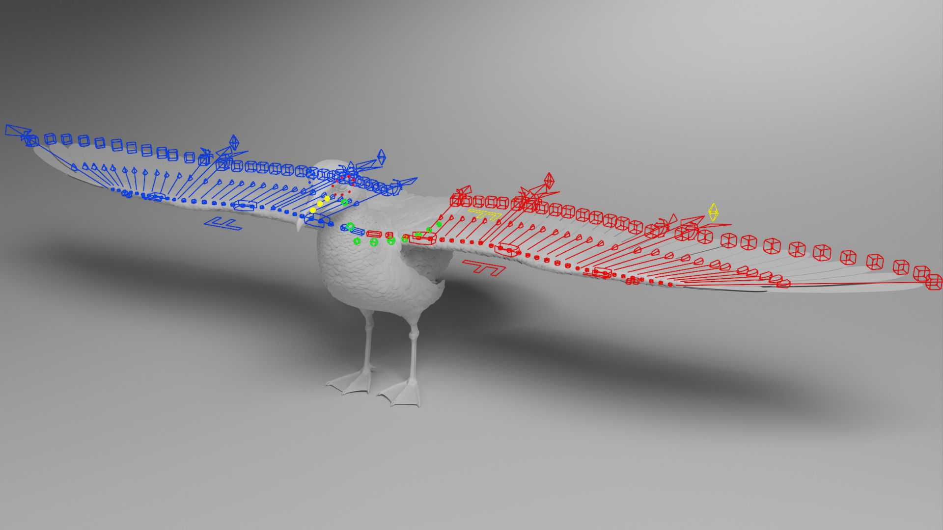 Seagull Animation - VFX Grace 3D model_21